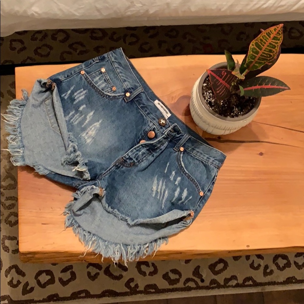 One Teaspoon Shorts